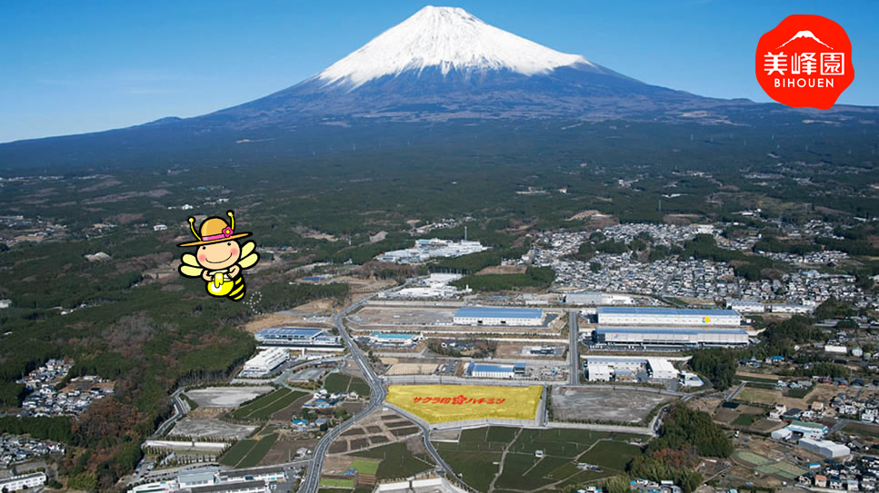 富士工場全体